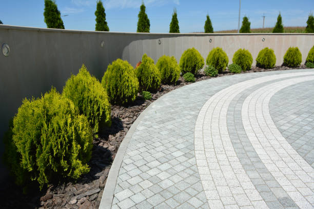 Best Best Driveway Pavers  in West Monroe, MI